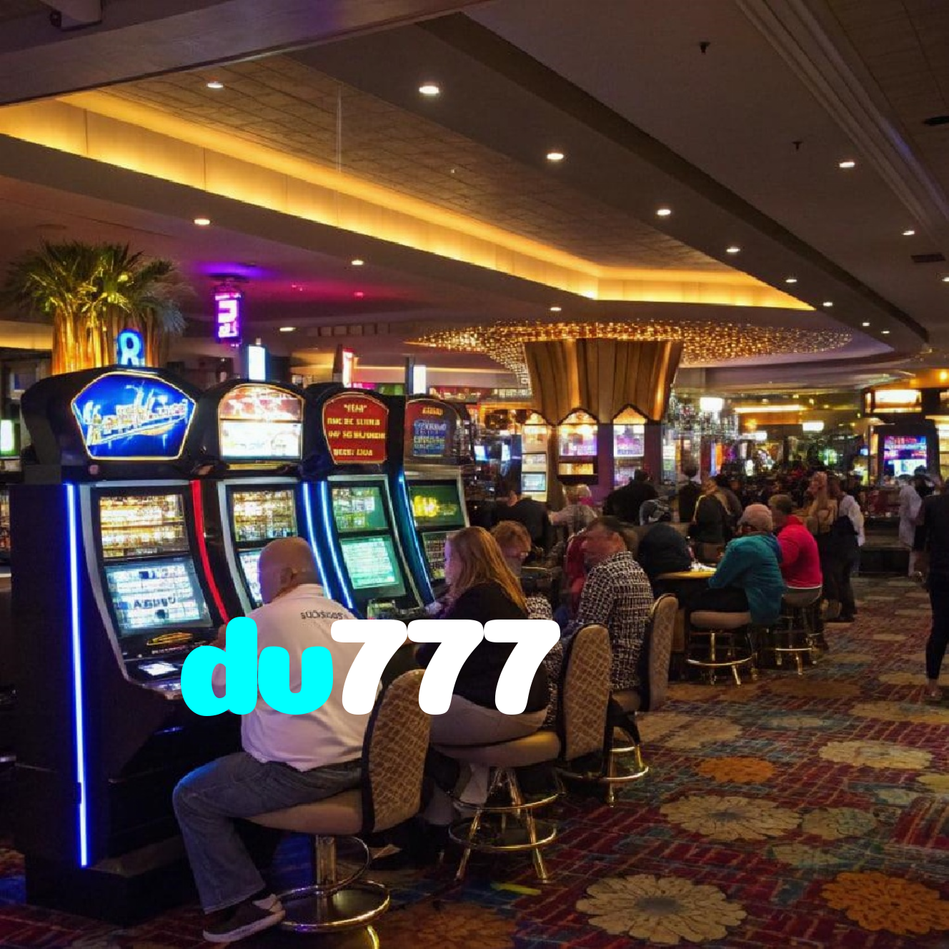 dv777