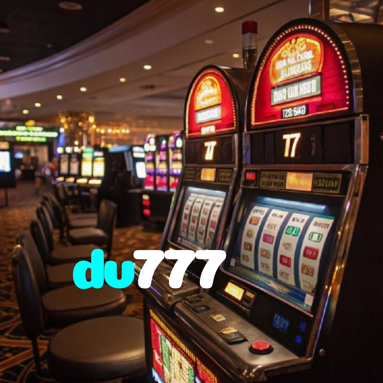 dv777